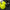 VALOR Midnight Pickleball Set