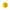 VALOR Outdoor Pickleball