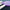 VALOR Blossom Pickleball Set
